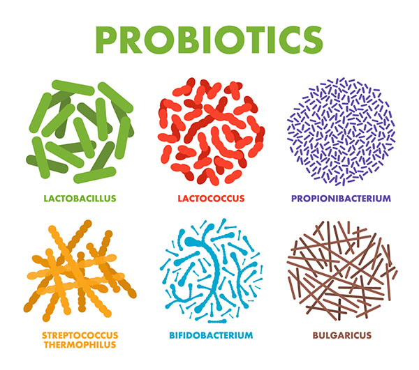 Probiotics